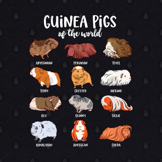 Cartoon guinea pigs - Type of Guinea pigs by Modern Medieval Design